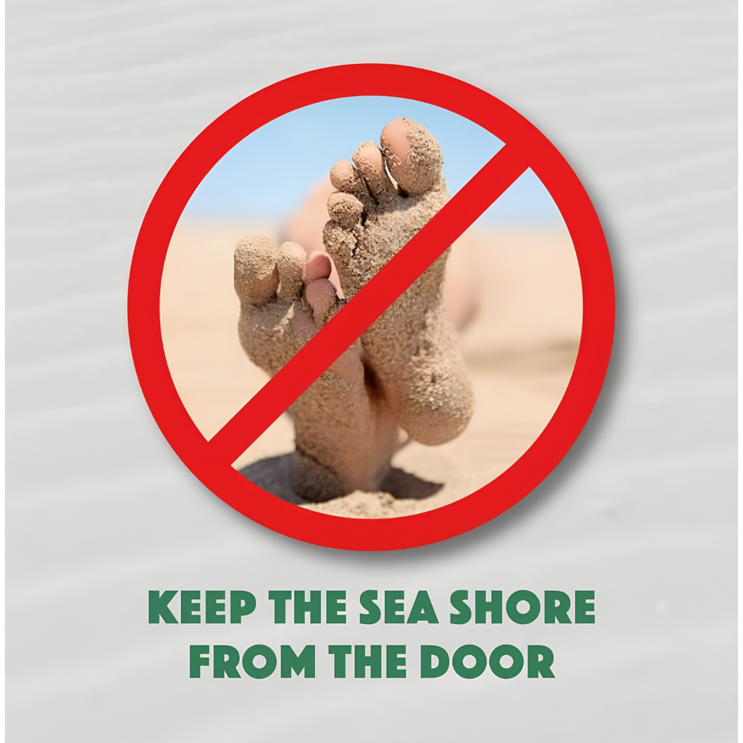 Beach Sand Remover Brush Box
