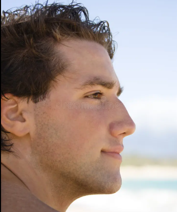 <em>Seier F.</em>